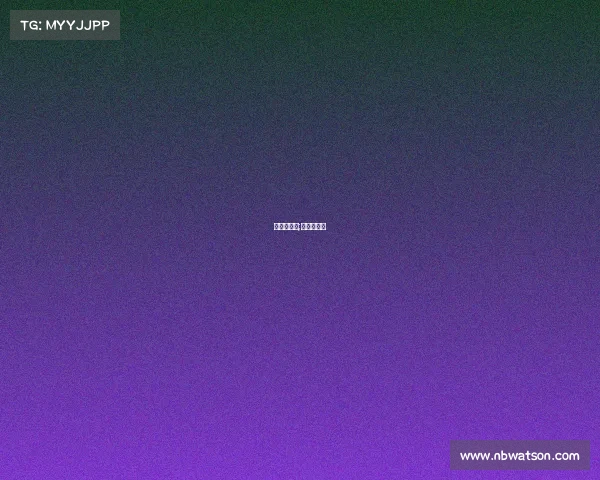 贝红星赛事;贝红星球队